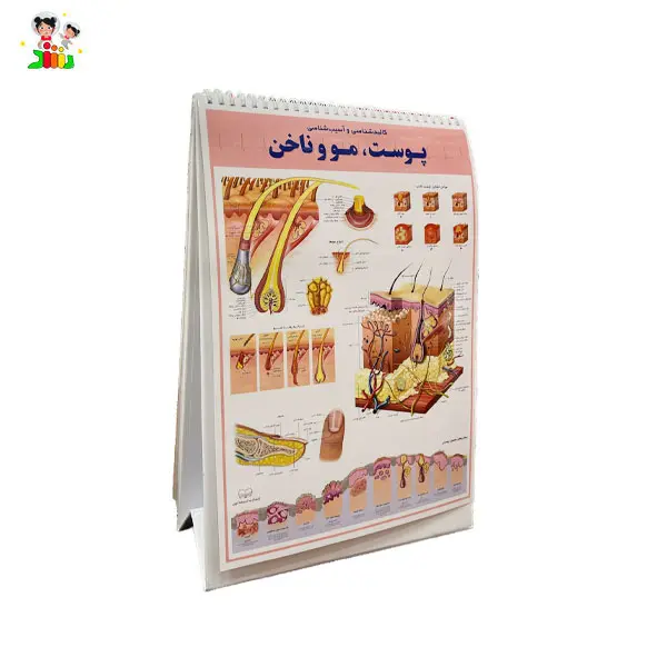 کتاب اطلس کالبد شناسی(آناتومی) بدن انسان | اندیشه کهن